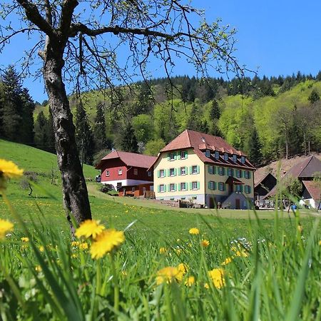 Apartamento Offenburger Hof Schuttertal Exterior foto