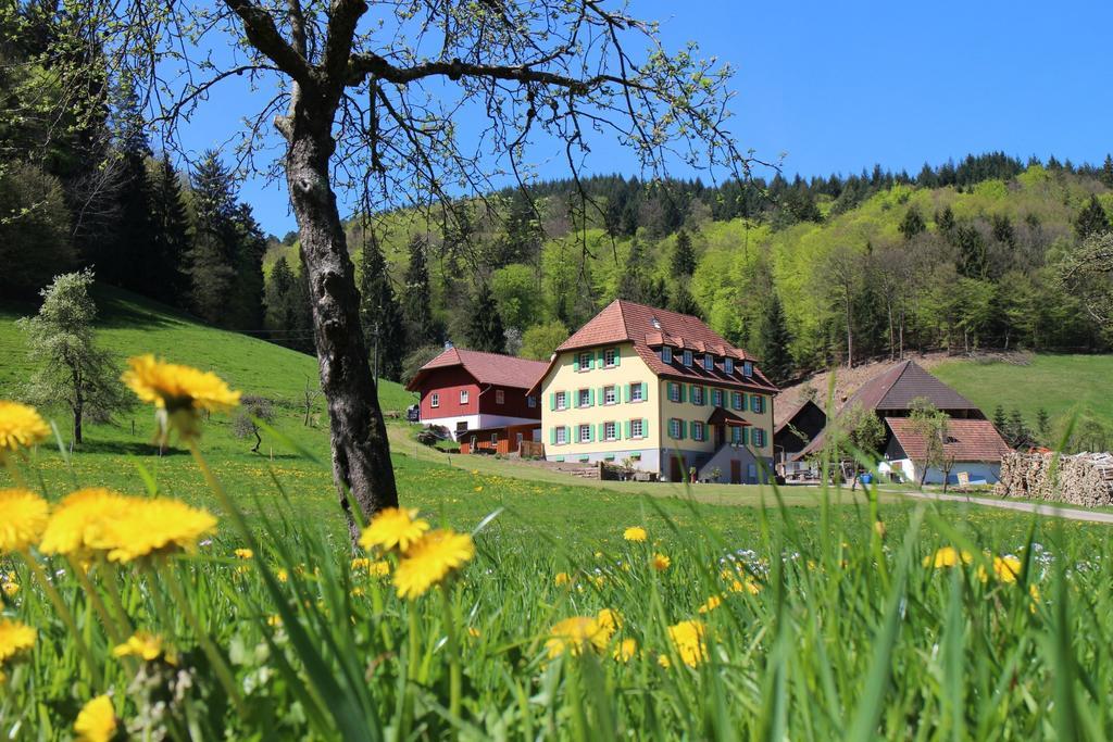 Apartamento Offenburger Hof Schuttertal Exterior foto