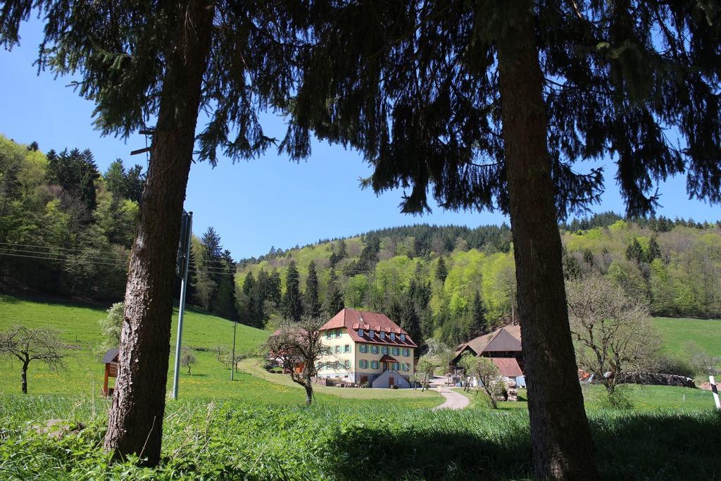 Apartamento Offenburger Hof Schuttertal Exterior foto