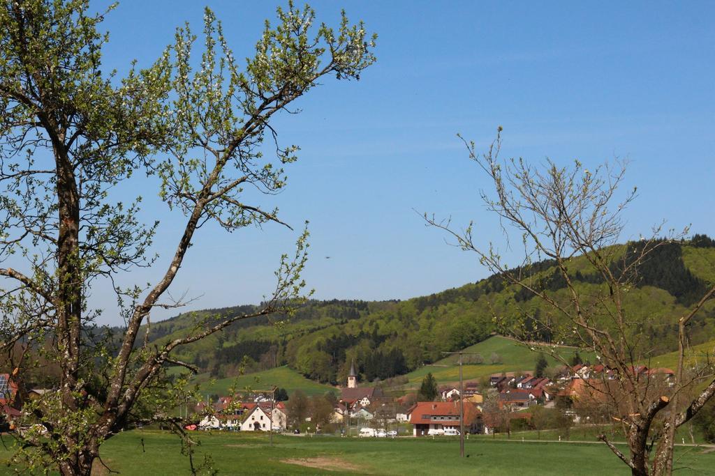 Apartamento Offenburger Hof Schuttertal Exterior foto